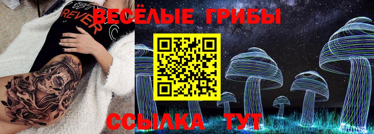 Псилоцибиновые грибы Psilocybine cubensis Качканар